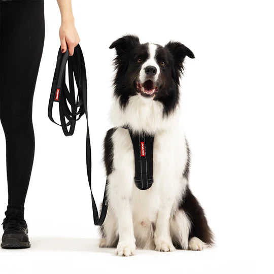 EzyDog Track n Train Leash