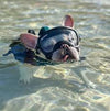 Rex Specs Dog Goggles V2