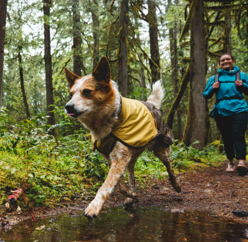 Ruffwear Sun Shower Waterproof Rain Jacket