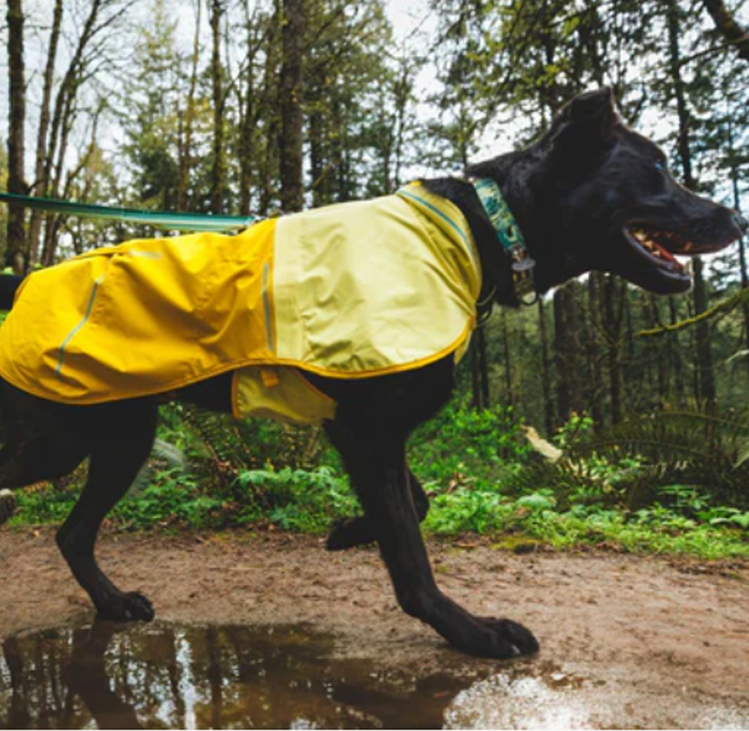 Ruffwear Sun Shower Waterproof Rain Jacket