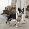 EzyDog Luca Leash