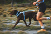 Ruffwear Front Range Flex Harness