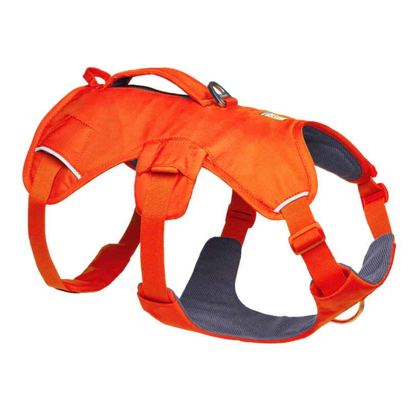 ⚡ Ruffwear Web Master Harness 2025