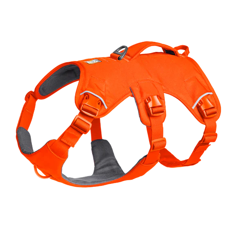 ⚡ Ruffwear Web Master Harness 2025