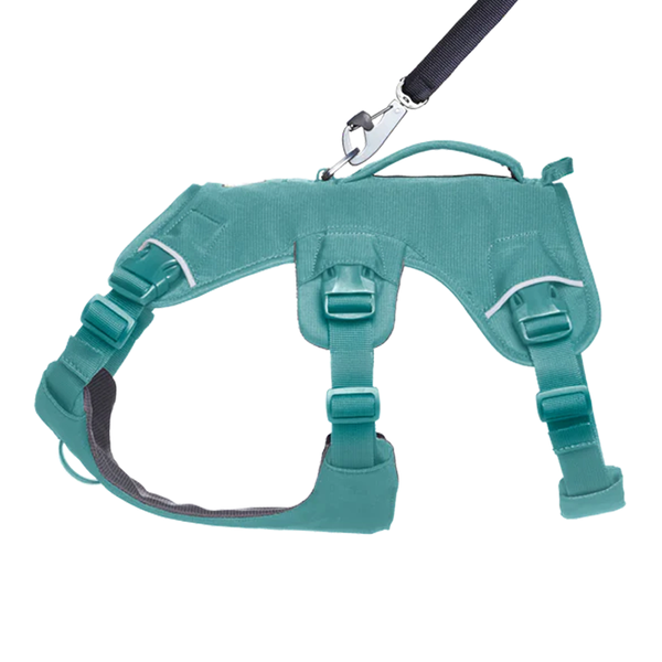 ⚡ Ruffwear Web Master Harness 2025