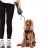 EzyDog Track n Train Slimline Dog Leash