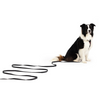 EzyDog Track n Train Leash