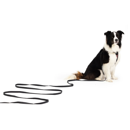 EzyDog Track n Train Leash
