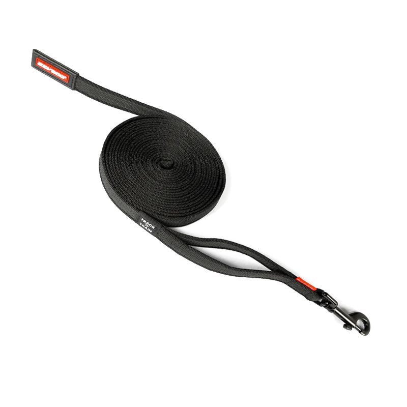 EzyDog Track n Train Leash