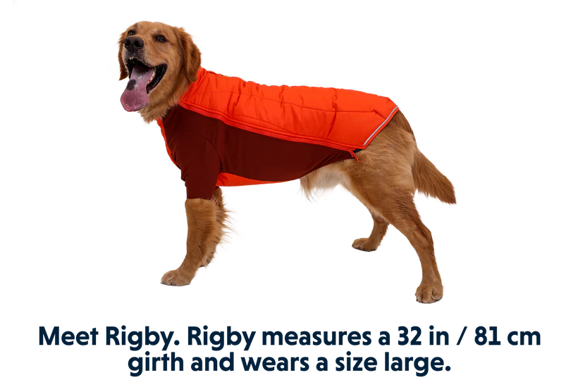 ⚡ Ruffwear Powder Hound Dog Jacket