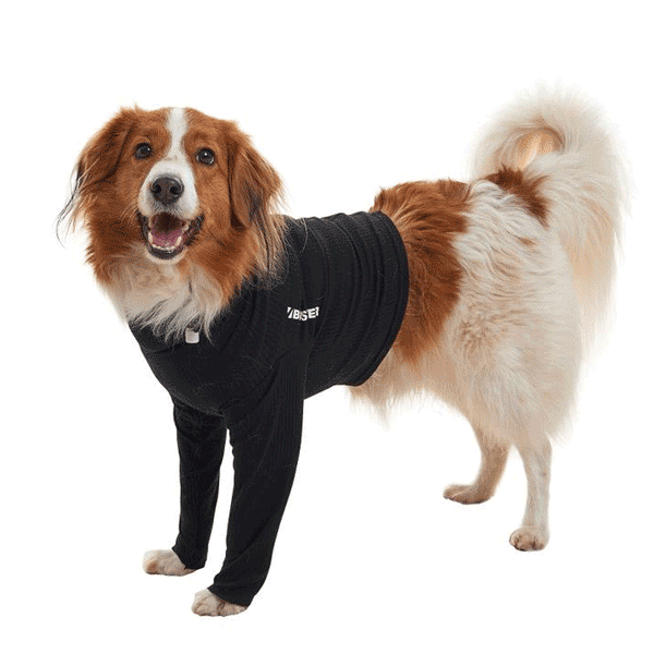 Buster Body Sleeve Front Legs