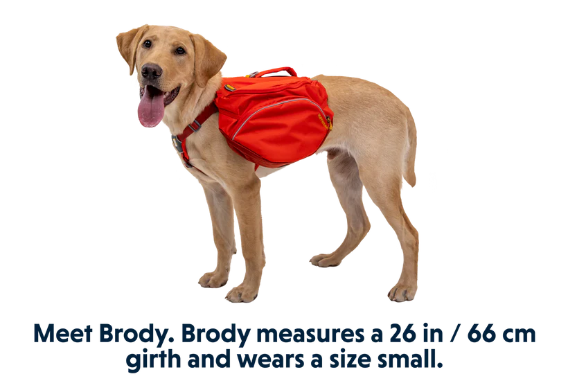 NEW Ruffwear Palisades Pack
