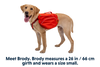 NEW Ruffwear Palisades Pack