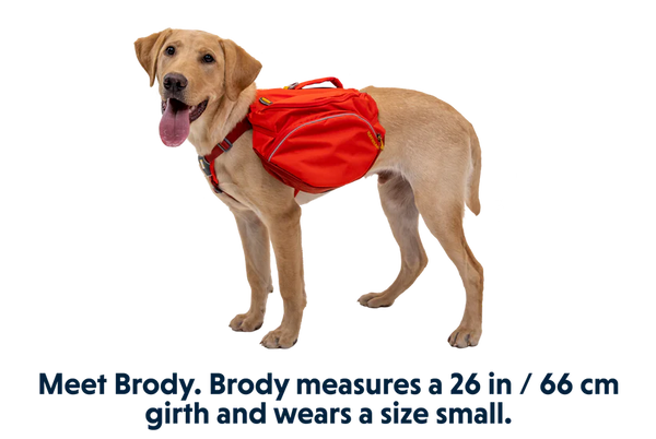 NEW Ruffwear Palisades Pack