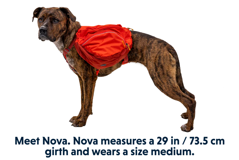NEW Ruffwear Palisades Pack