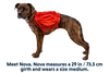 NEW Ruffwear Palisades Pack