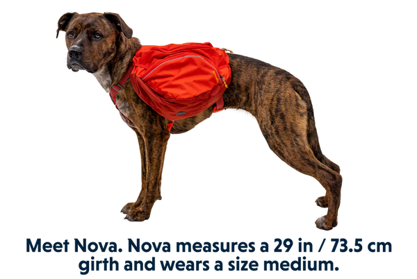 NEW Ruffwear Palisades Pack