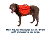 NEW Ruffwear Palisades Pack
