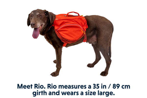 NEW Ruffwear Palisades Pack