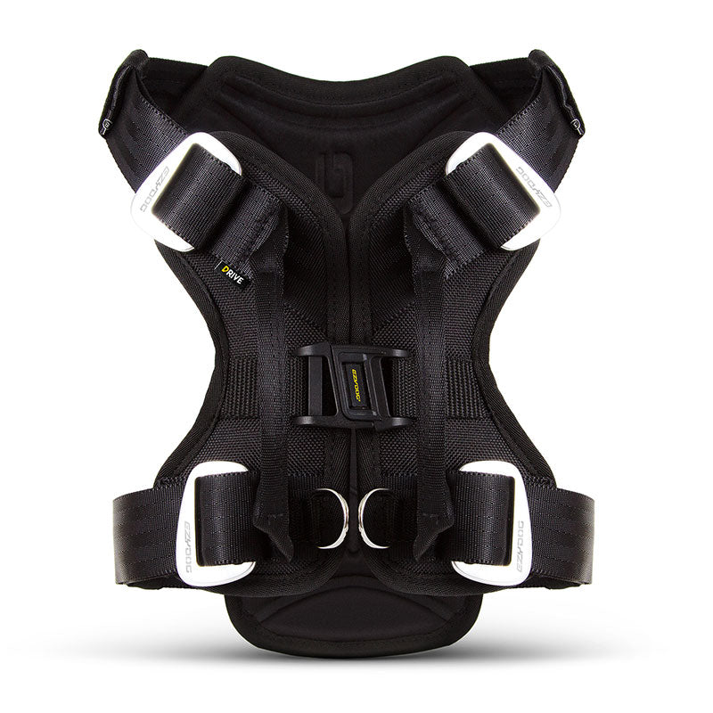 Ezydog travel outlet harness