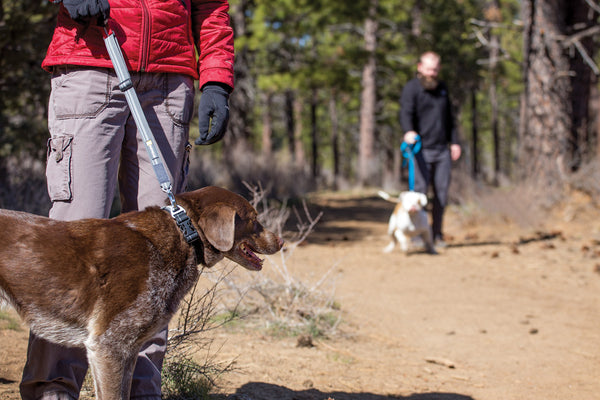 Ruffwear Quick Draw Leash