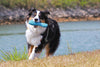 Ruffwear Gourdo
