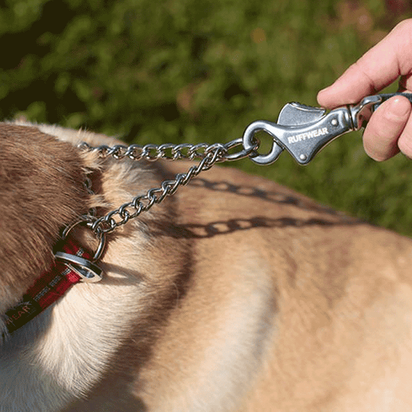 Ruffwear Chain Reaction Dog Collar