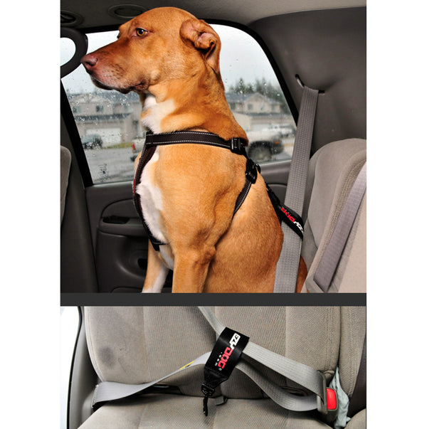 Ezydog Dog Harness with Car Restraint