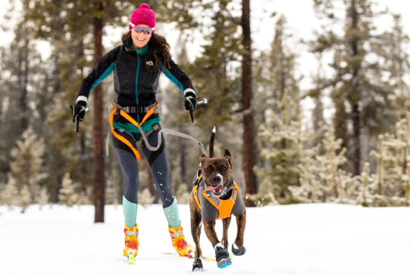 Ruffwear Omnijore Joring System