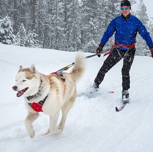 Ruffwear Omnijore Joring System