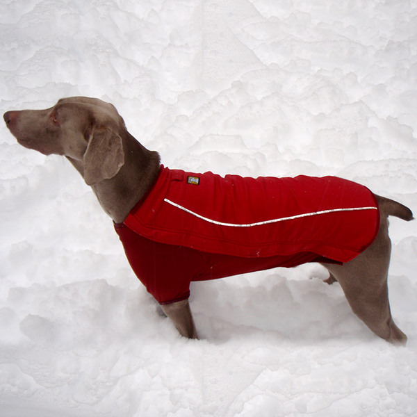 Ruffwear Cloud Chaser Waterproof Dog Coat