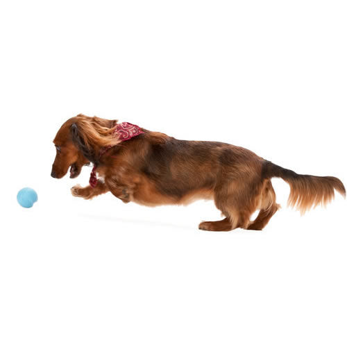 West Paw Design Jive Ball 2.6" – Small Floating Fetch Dog Toy, Made In USA